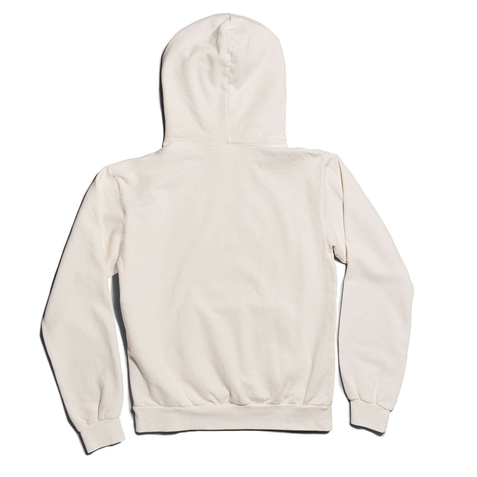 Dagne Dover Hooded Sweatshirt in moonbeam seen from the back. 
