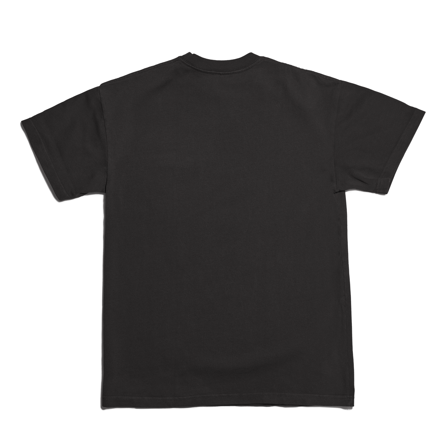 Dagne Dover Short Sleeve Tee in onyx seen from the back. 