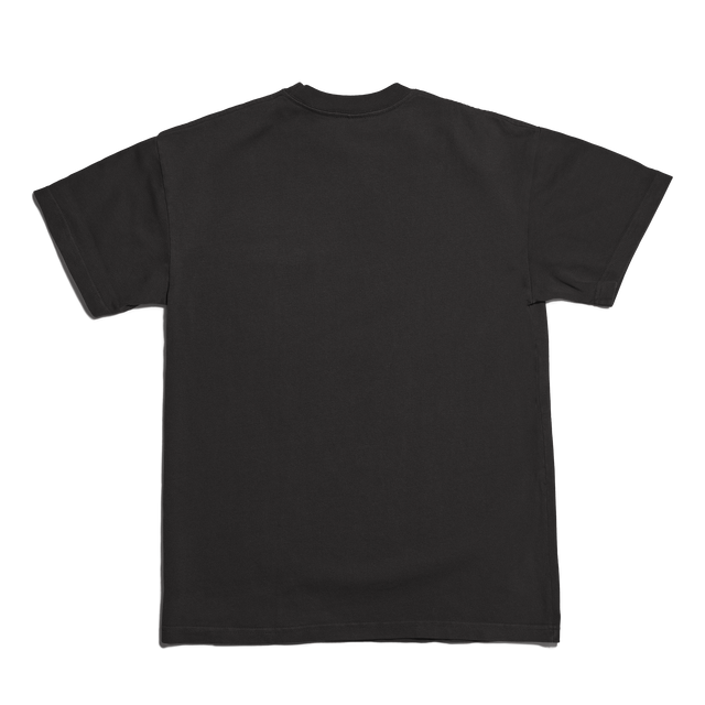 Dagne Dover Short Sleeve Tee in onyx seen from the back. 