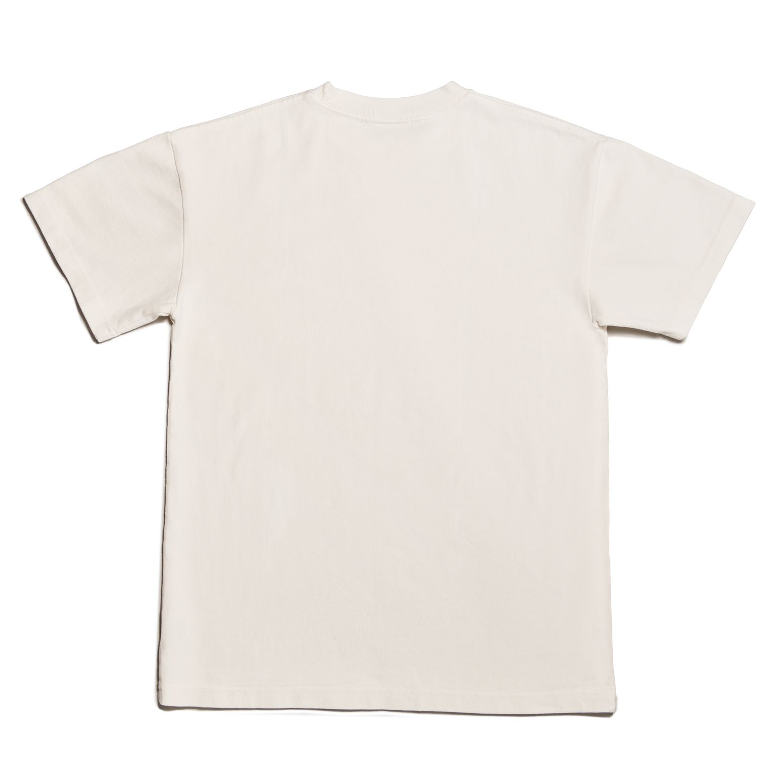 Dagne Dover Short Sleeve Tee in moonbeam seen from the back.