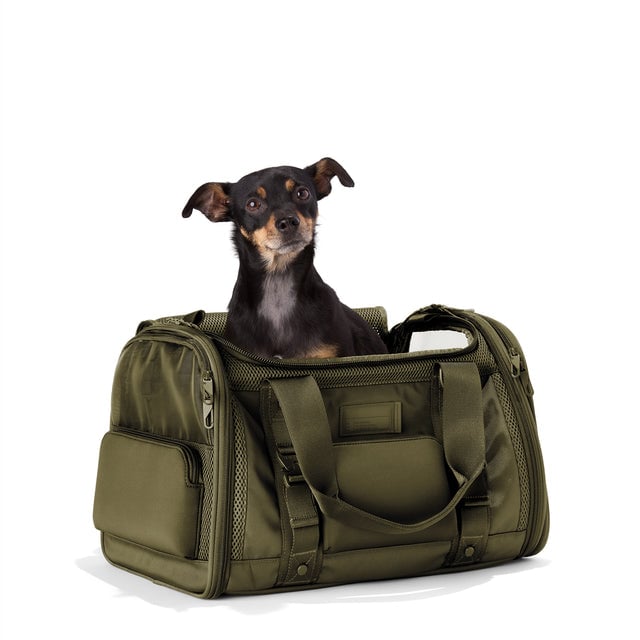Dagne Dover Large Kyoto Pet Carrier in a deep olive green seen from an angle with a dog inside the carrier. Caption: Ocho is a 16-lb Chihuahua mix. hover 