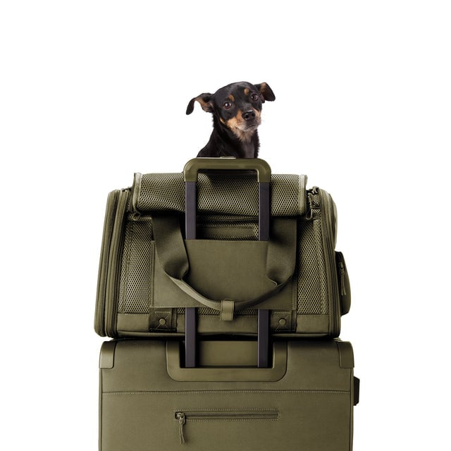 Dagne Dover Large Kyoto Pet Carrier in a deep olive green displaying luggage sleeve with a dog inside the carrier.