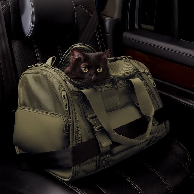 Dagne Dover Large Kyoto Pet Carrier in a deep olive green displaying the two side release buckle clips to secure pet carrier to seat belt; a cat is inside the carrier. Caption: Ouija is a 7.8-lb American Longhair