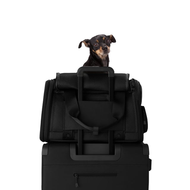 Dagne Dover Large Kyoto Pet Carrier in black displaying luggage sleeve with a dog inside the carrier.