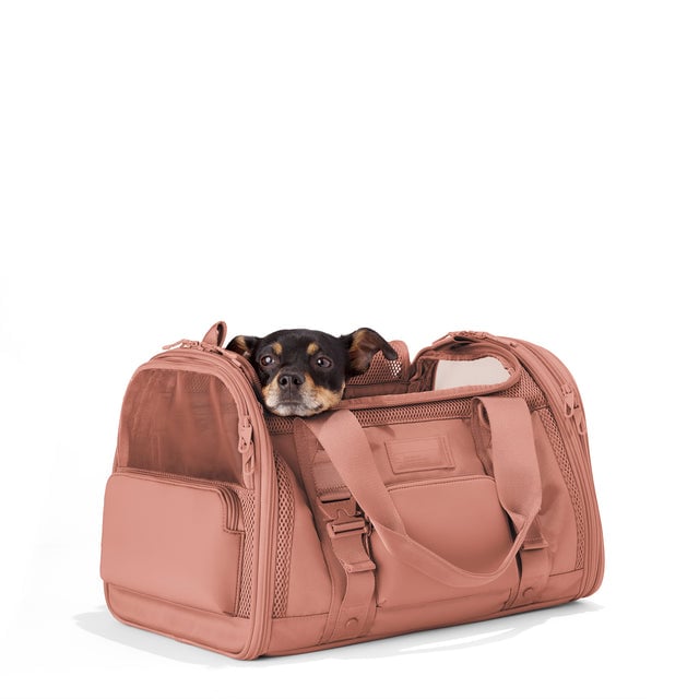 Dagne Dover Large Kyoto Pet Carrier in a warm dust pink seen from an angle with a dog inside the carrier. Caption: Ocho is a 16-lb Chihuahua mix. hover