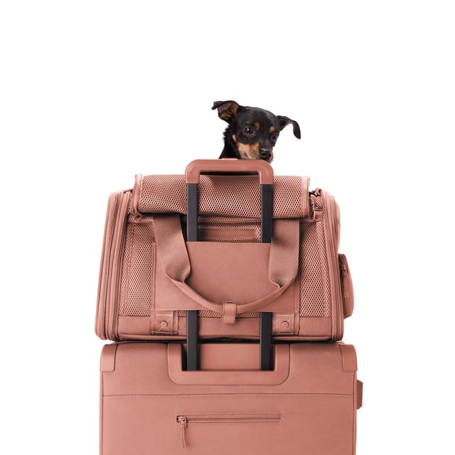 Dagne Dover Large Kyoto Pet Carrier in a warm dust pink displaying luggage sleeve with a dog inside the carrier.