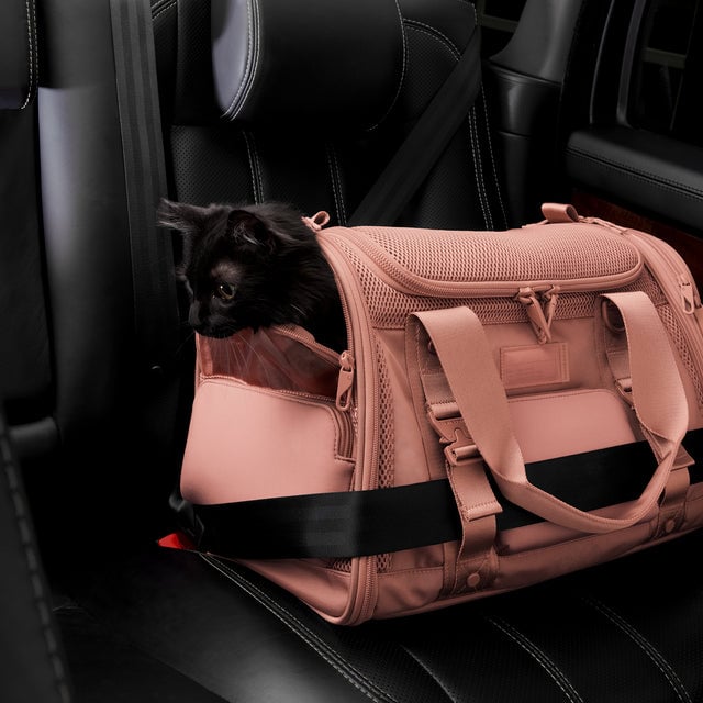 Dagne Dover Large Kyoto Pet Carrier in a warm dust pink displaying the two side release buckle clips to secure pet carrier to seat belt; a cat is inside the carrier.  Caption: Ouija is a 7.8-lb American Longhair