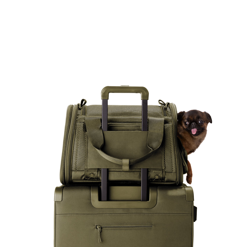 Dagne Dover Small Kyoto Pet Carrier in a deep olive green displaying luggage sleeve with a dog inside the carrier. 