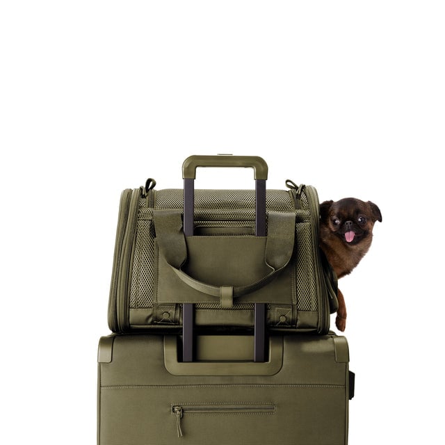 Dagne Dover Small Kyoto Pet Carrier in a deep olive green displaying luggage sleeve with a dog inside the carrier. 