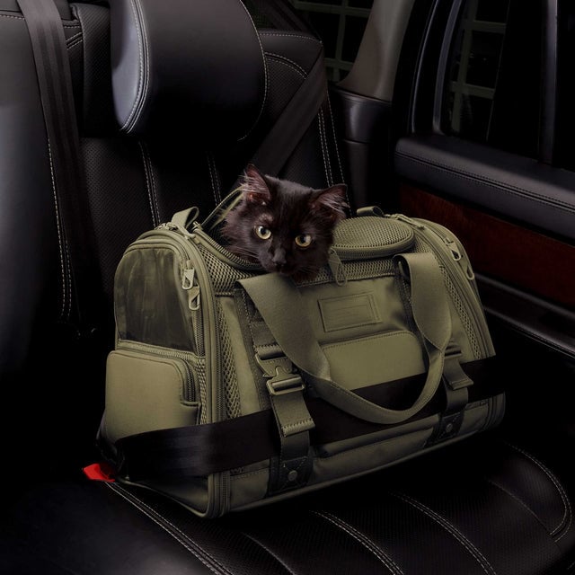 Dagne Dover Small Kyoto Pet Carrier in a deep olive green displaying the two side release buckle clips to secure pet carrier to seat belt; a cat is inside the carrier.  Caption: Ouija is a 7.8-lb American Longhair