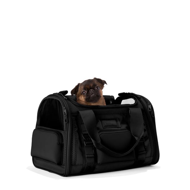 Dagne Dover Small Kyoto Pet Carrier in black seen from an angle with a dog inside the carrier. Caption: Edna is a 5-lb Brussels Griffon. hover