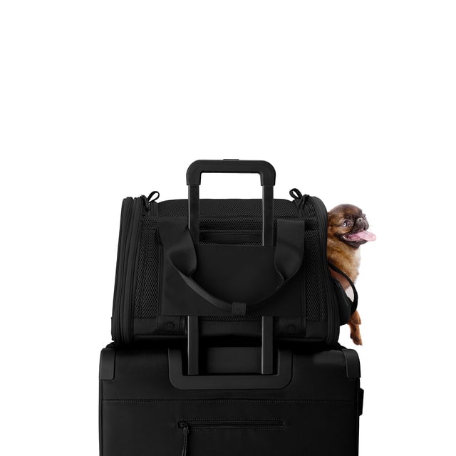 Dagne Dover Small Kyoto Pet Carrier in black displaying luggage sleeve with a dog inside the carrier.