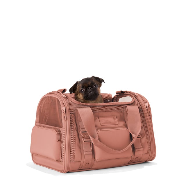 Dagne Dover Small Kyoto Pet Carrier in a warm dust pink seen from an angle with a dog inside the carrier. Caption: Edna is a 5-lb Brussels Griffon. hover
