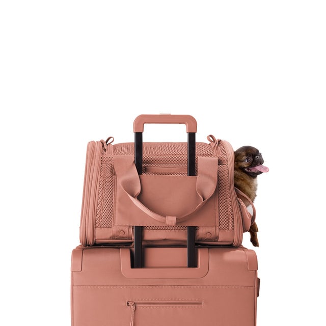 Dagne Dover Small Kyoto Pet Carrier in a warm dust pink displaying luggage sleeve with a dog inside the carrier.