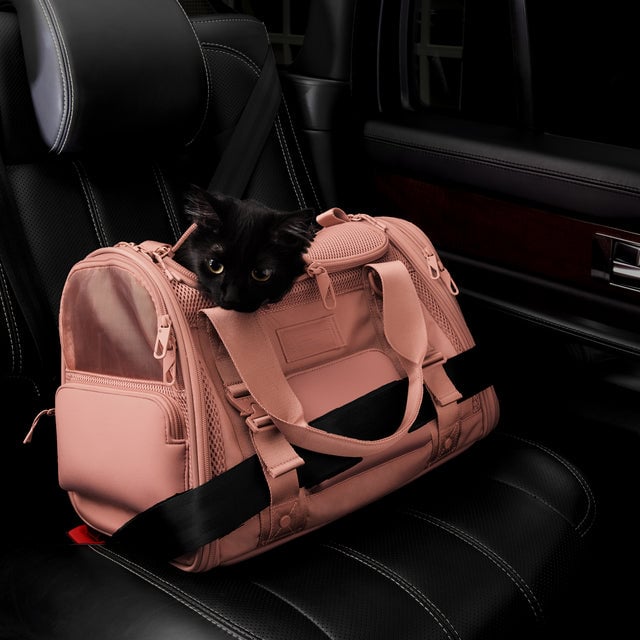 Dagne Dover Small Kyoto Pet Carrier in a warm dust pink displaying the two side release buckle clips to secure pet carrier to seat belt; a cat is inside the carrier.  Caption: Ouija is a 7.8-lb American Longhair