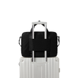 BackLuggage