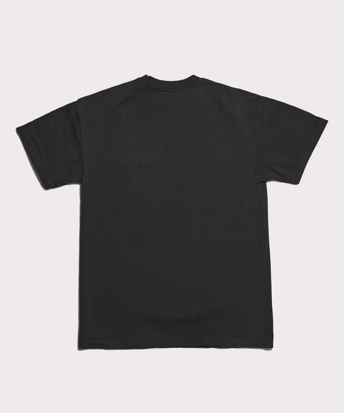 Varsity Logo T-shirt in Onyx, 3X