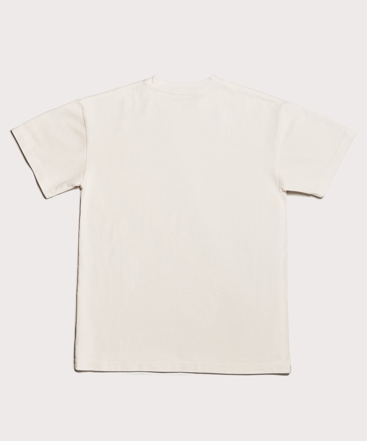 Varsity Logo T-shirt in Moonbeam, 4X