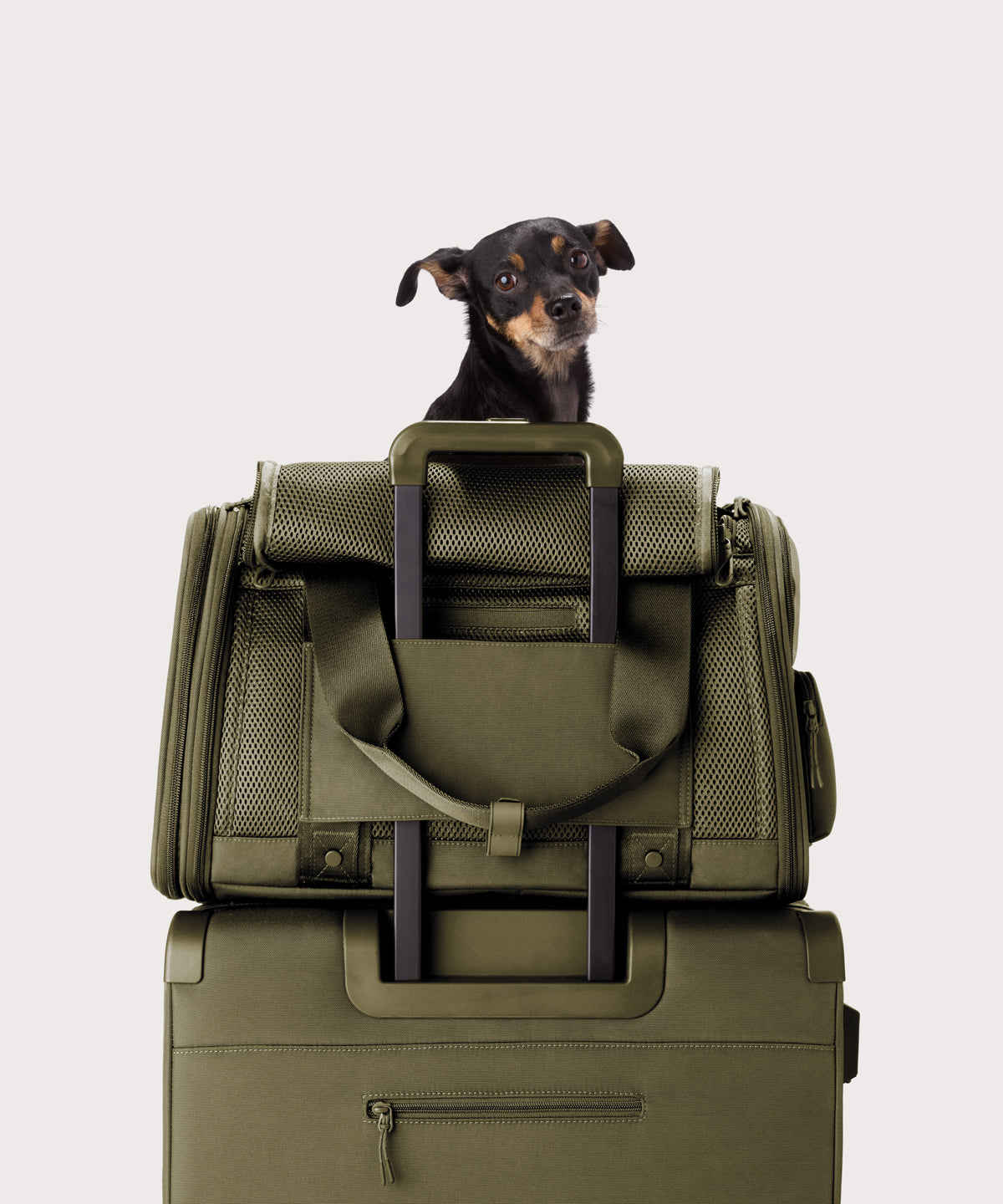 Dagne Dover Large Kyoto Pet Carrier in a deep olive green displaying luggage sleeve with a dog inside the carrier.
