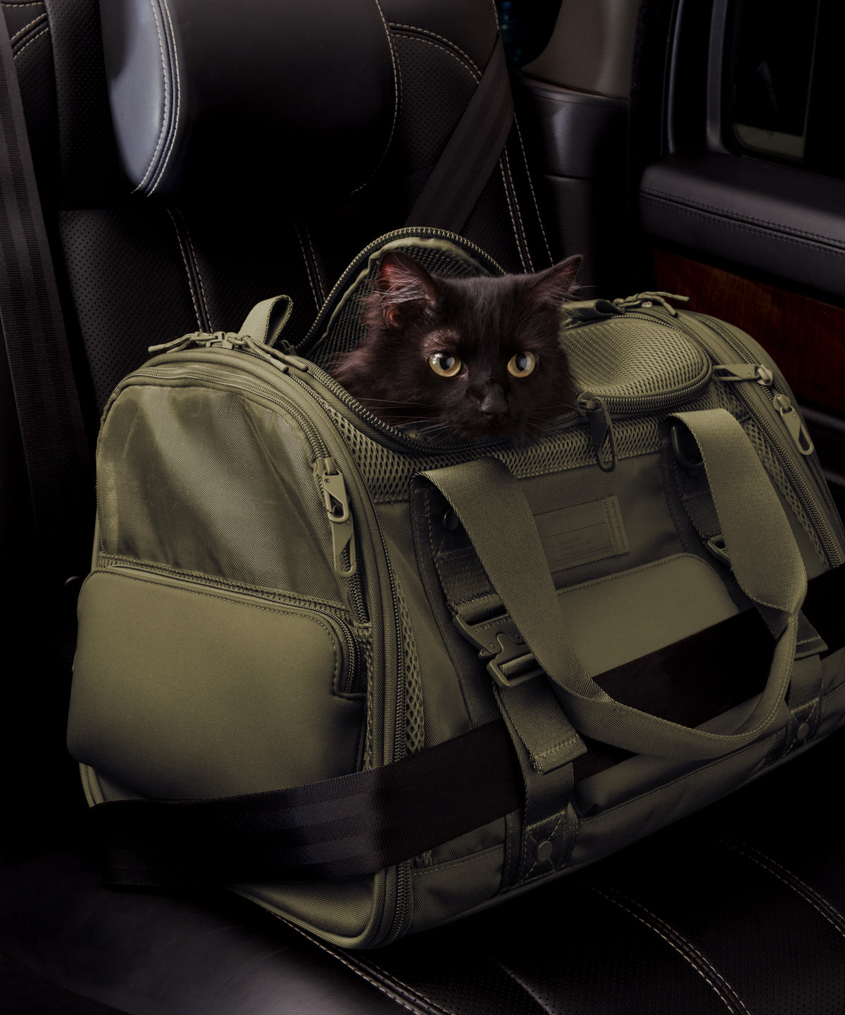 Dagne Dover Large Kyoto Pet Carrier in a deep olive green displaying the two side release buckle clips to secure pet carrier to seat belt; a cat is inside the carrier.  Caption: Ouija is a 7.8-lb American Longhair