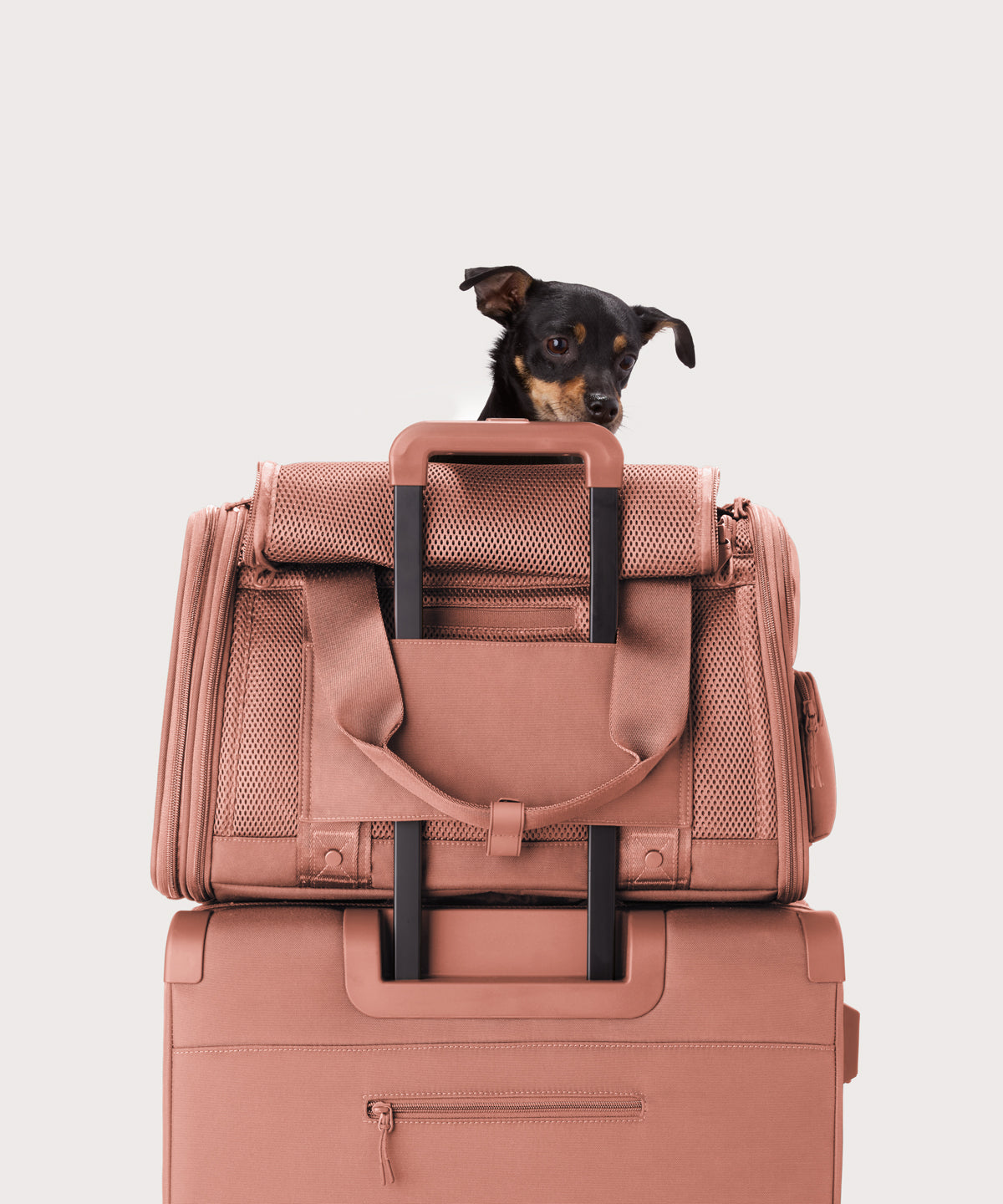 Dagne Dover Large Kyoto Pet Carrier in a warm dust pink displaying luggage sleeve with a dog inside the carrier.
