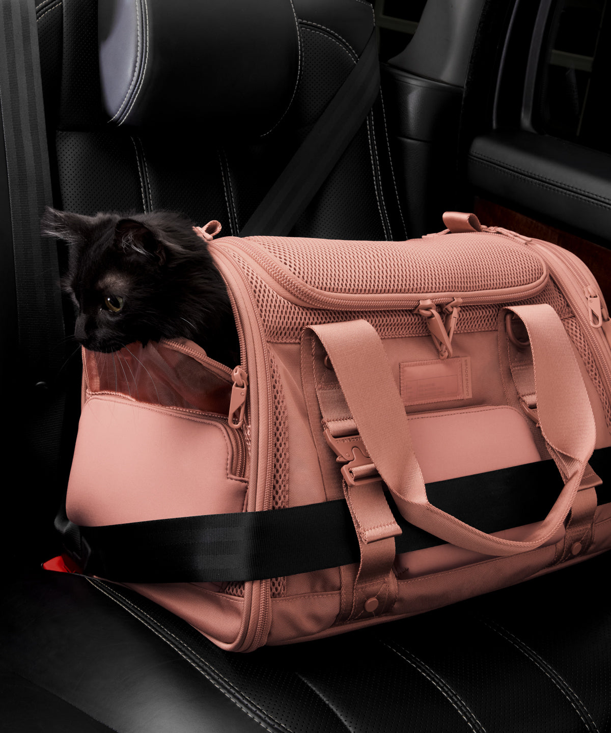 Dagne Dover Large Kyoto Pet Carrier in a warm dust pink displaying the two side release buckle clips to secure pet carrier to seat belt; a cat is inside the carrier.  Caption: Ouija is a 7.8-lb American Longhair